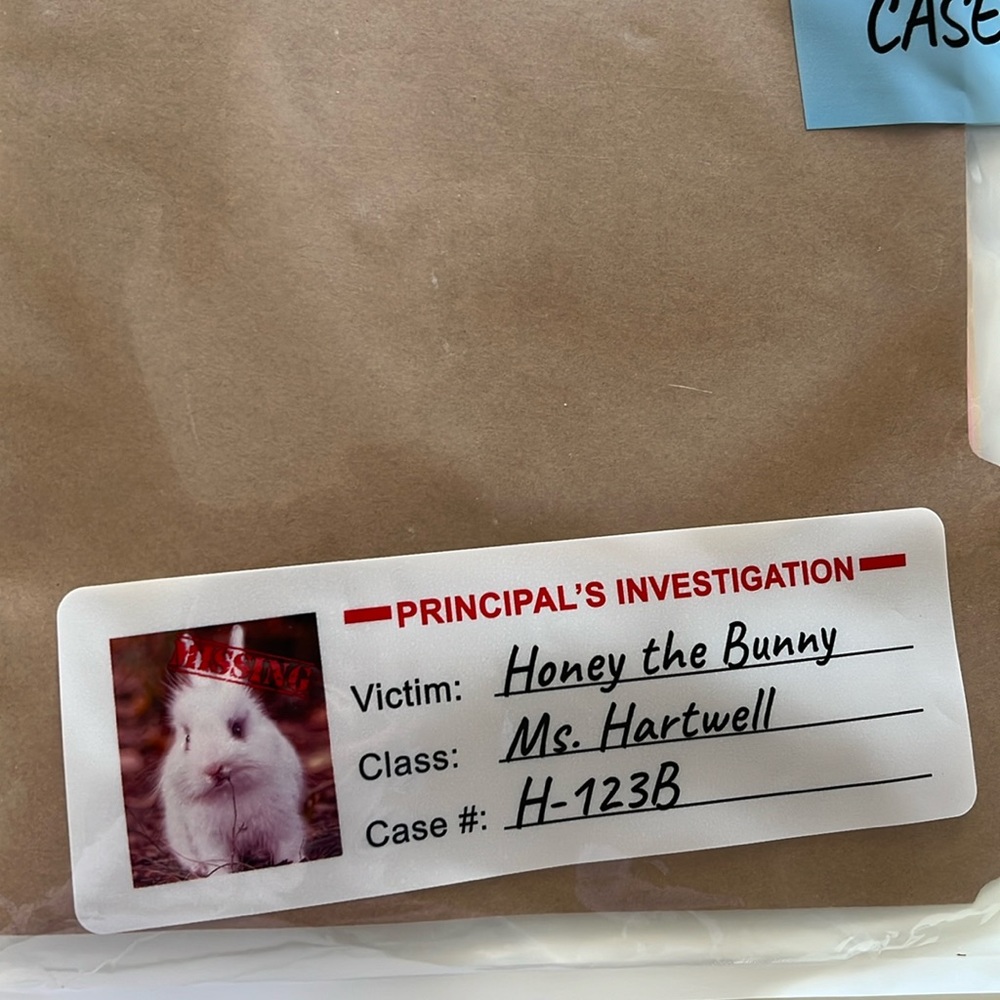 unsolved case file
